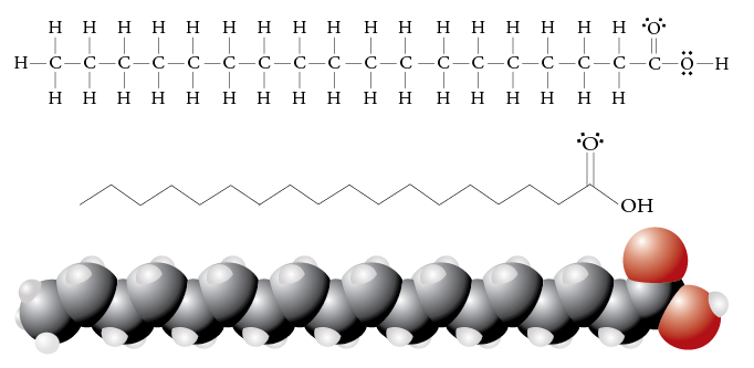 ساختار اسید استئاریک